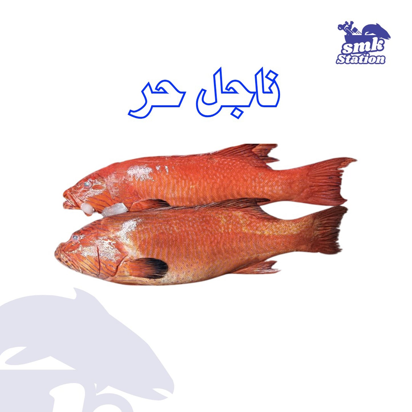 ناجل حر