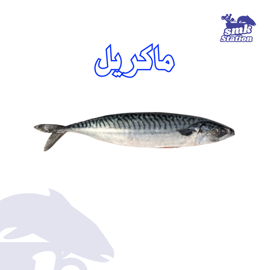 ماكريل