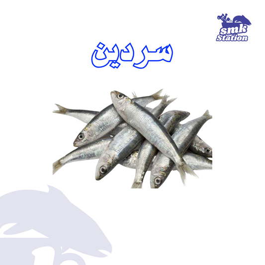 سردين