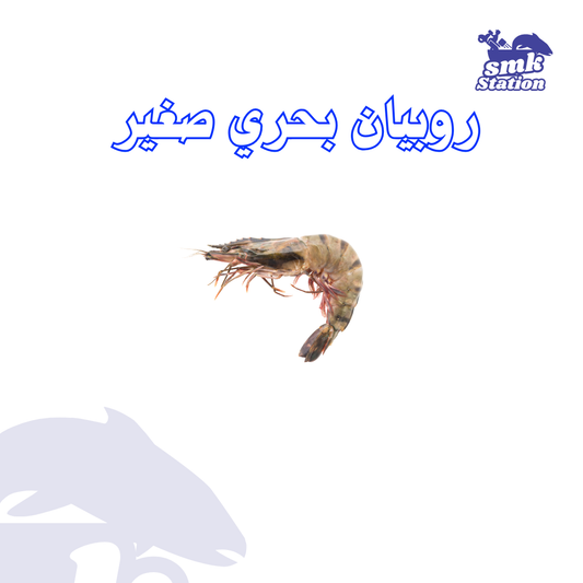 روبيان بحري صغير