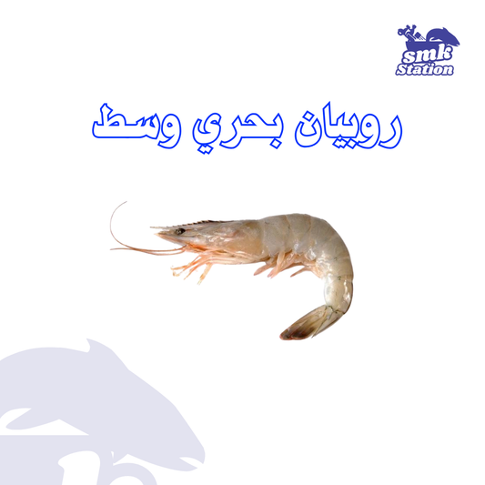 روبيان بحري وسط