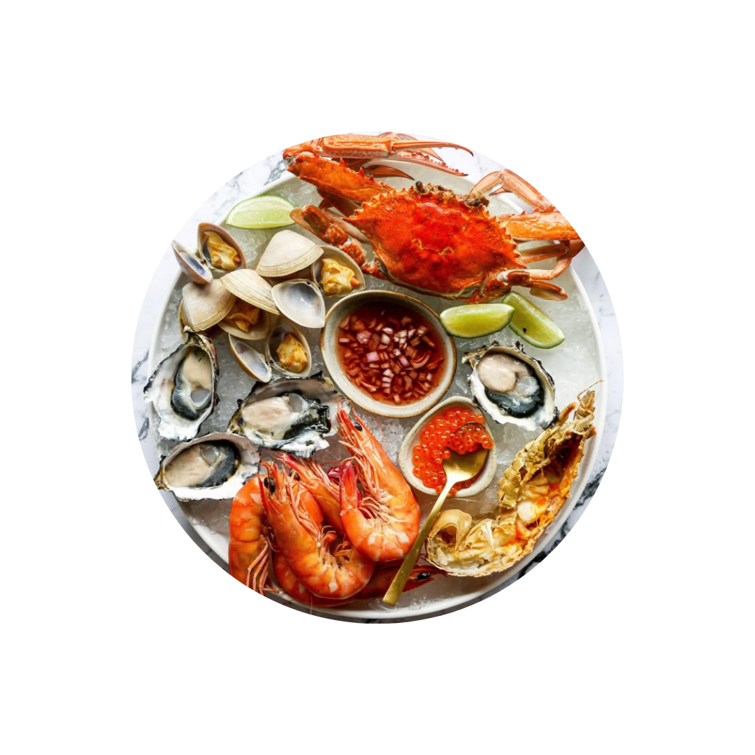 رخويات بحرية و صدفيات