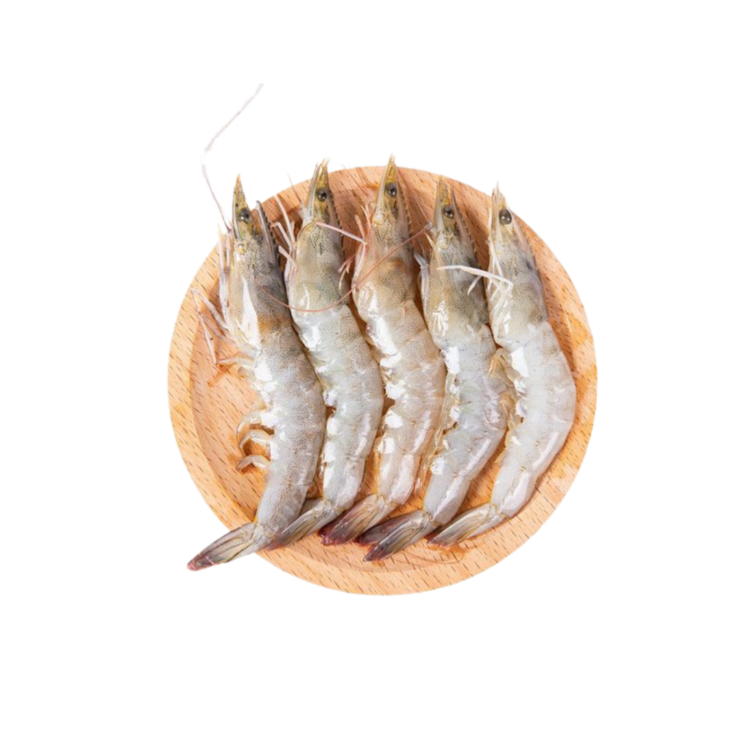 روبيان ( جمبري )