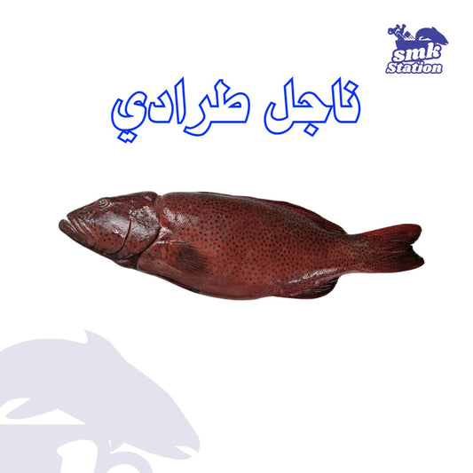 ناجل طرادي