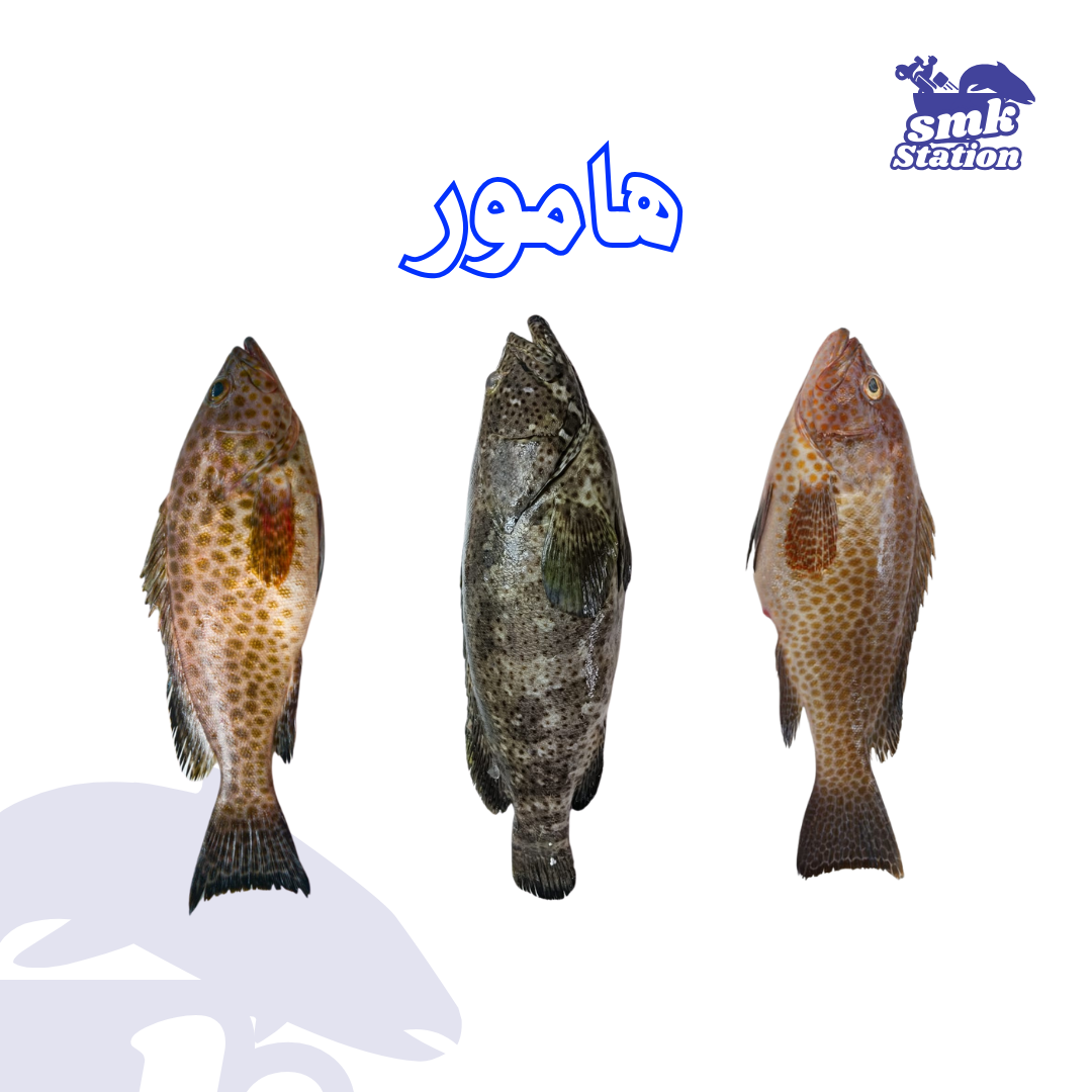Grouper