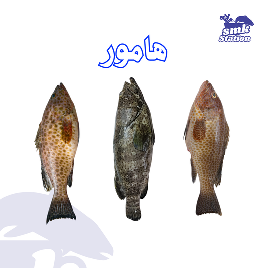 Grouper