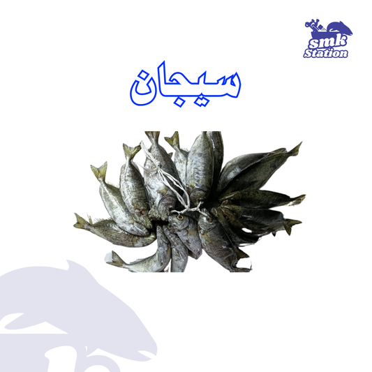 Sejan