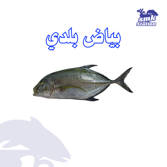 Bayad paldy