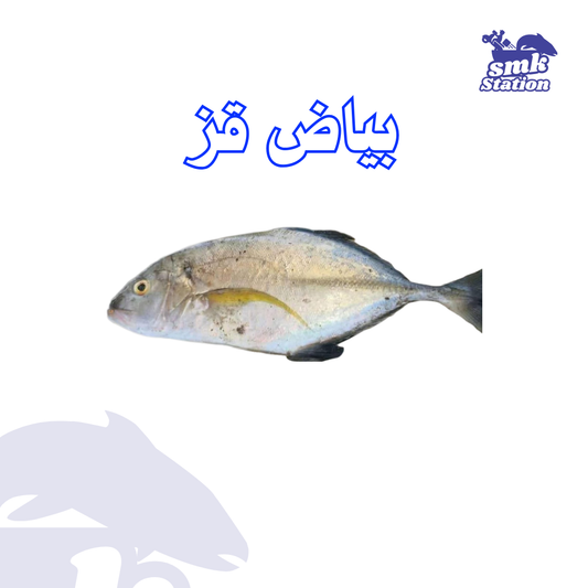 Bayad AZ