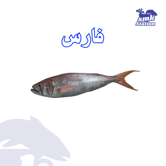 Fares