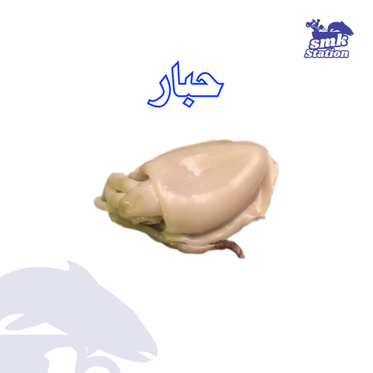 حبار