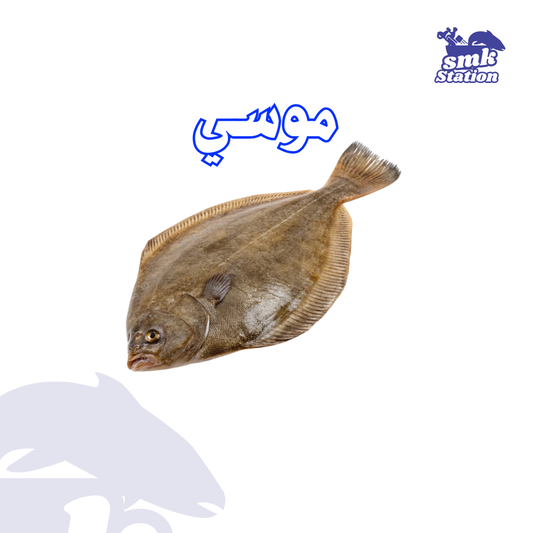 Mousa