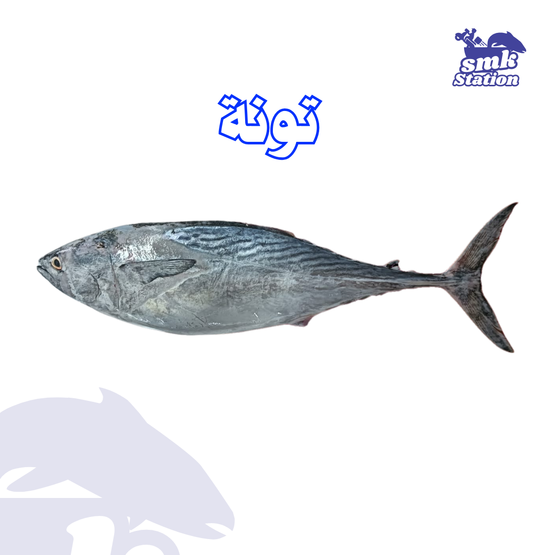 Tuna