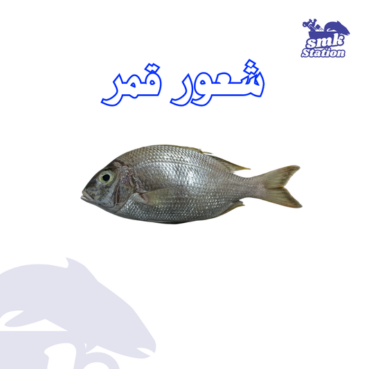 شعور قمر