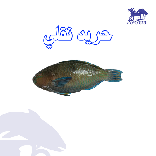 Frying Parrotfish