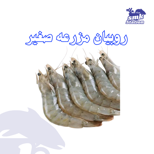 روبيان مزرعه صغير