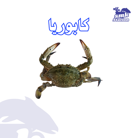 كابوريا