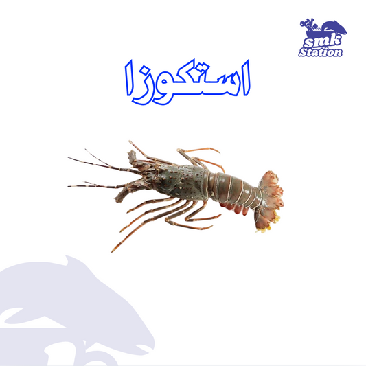 استكوزا