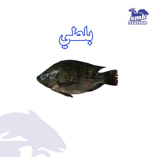 Tilapia